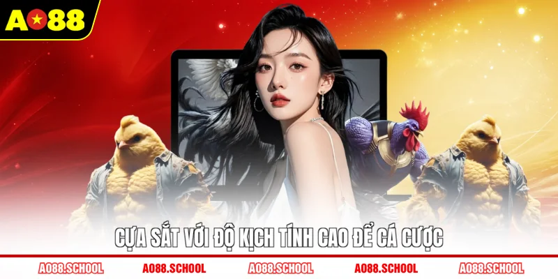 Cựa sắt với độ kịch tính cao để cá cược Cựa sắt với độ kịch tính cao để cá cược